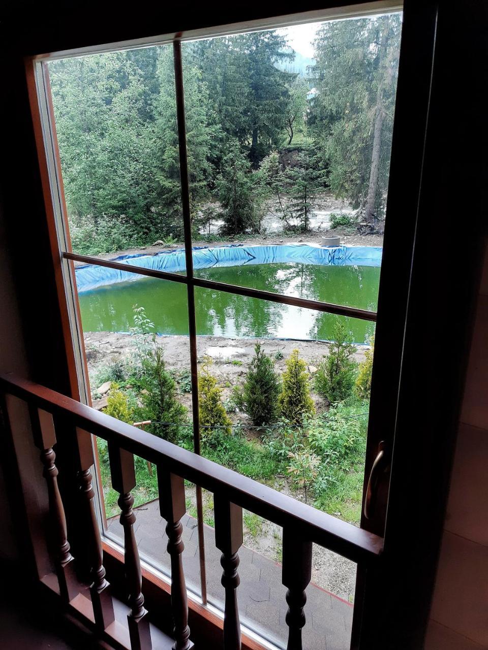 Knyazhyi Dvir Apartment Strigalnya Bagian luar foto