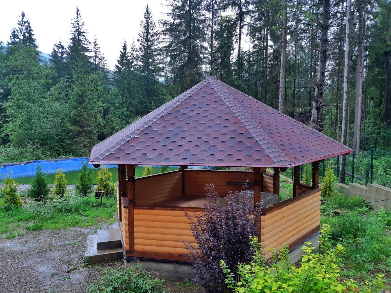 Knyazhyi Dvir Apartment Strigalnya Bagian luar foto